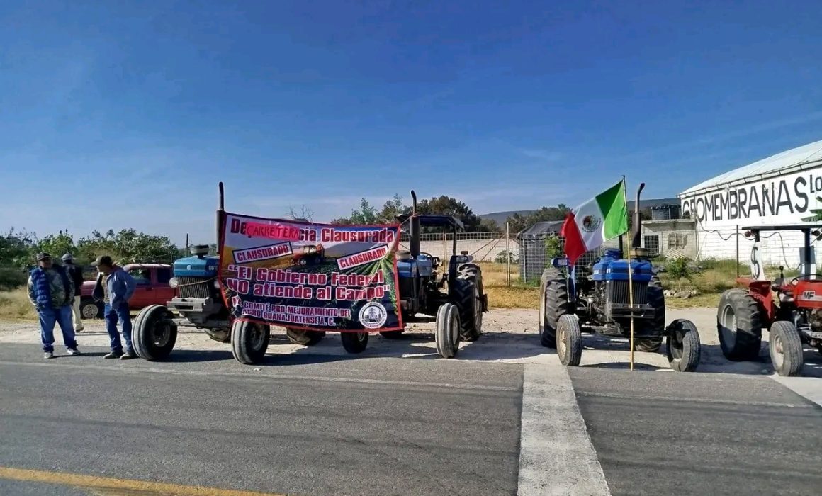 ¡No hay acuerdo! El sector agrícola rechazó la oferta del Gobierno Federal de $6,050 pesos por tonelada de maíz, por lo que el paro nacional continuará. FOTO: Quadratín Bajío.