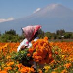 Autoridades y floricultures prevén una derrama de 40 millones de pesos