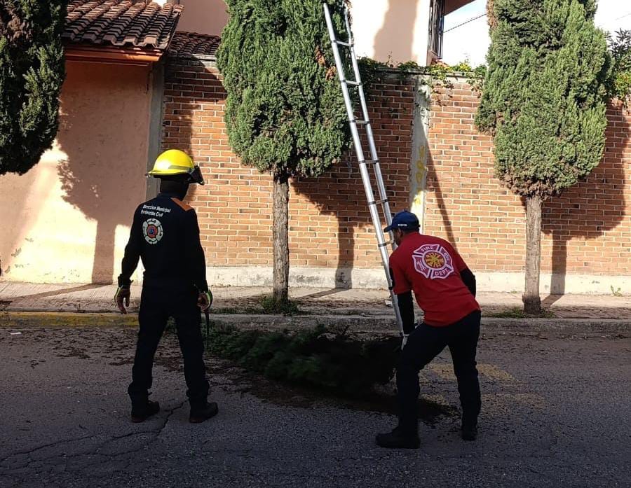 Gobierno de San Pedro Cholula atiende más de 15 reportes por daños tras ráfagas del Frente Frío No. 13