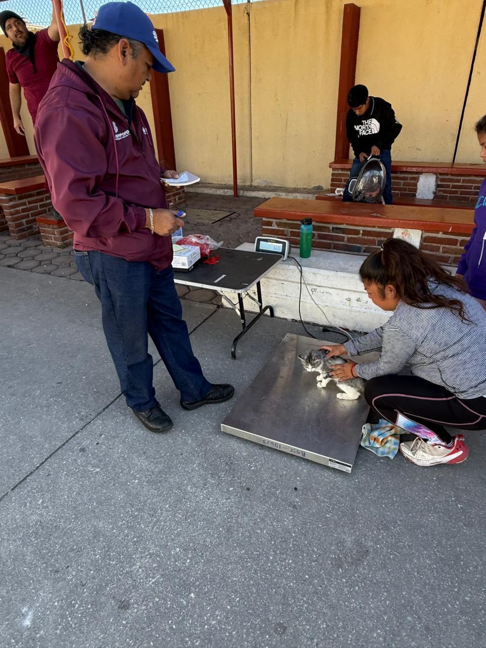 Puebla amplía jornadas de bienestar animal para acercar servicios veterinarios a más colonias