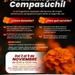 El gobierno capitalino habilitó un centro de acopio para transformar las flores de cempasúchil en composta, abono y productos naturales.