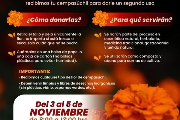 El gobierno capitalino habilitó un centro de acopio para transformar las flores de cempasúchil en composta, abono y productos naturales.