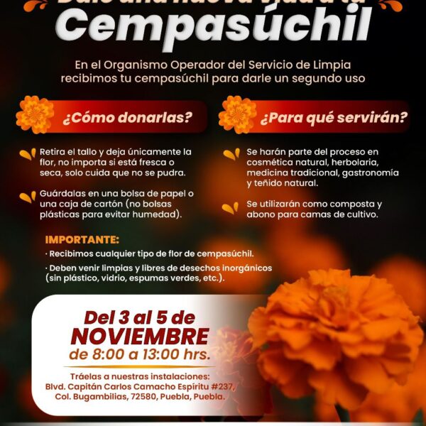 El gobierno capitalino habilitó un centro de acopio para transformar las flores de cempasúchil en composta, abono y productos naturales.