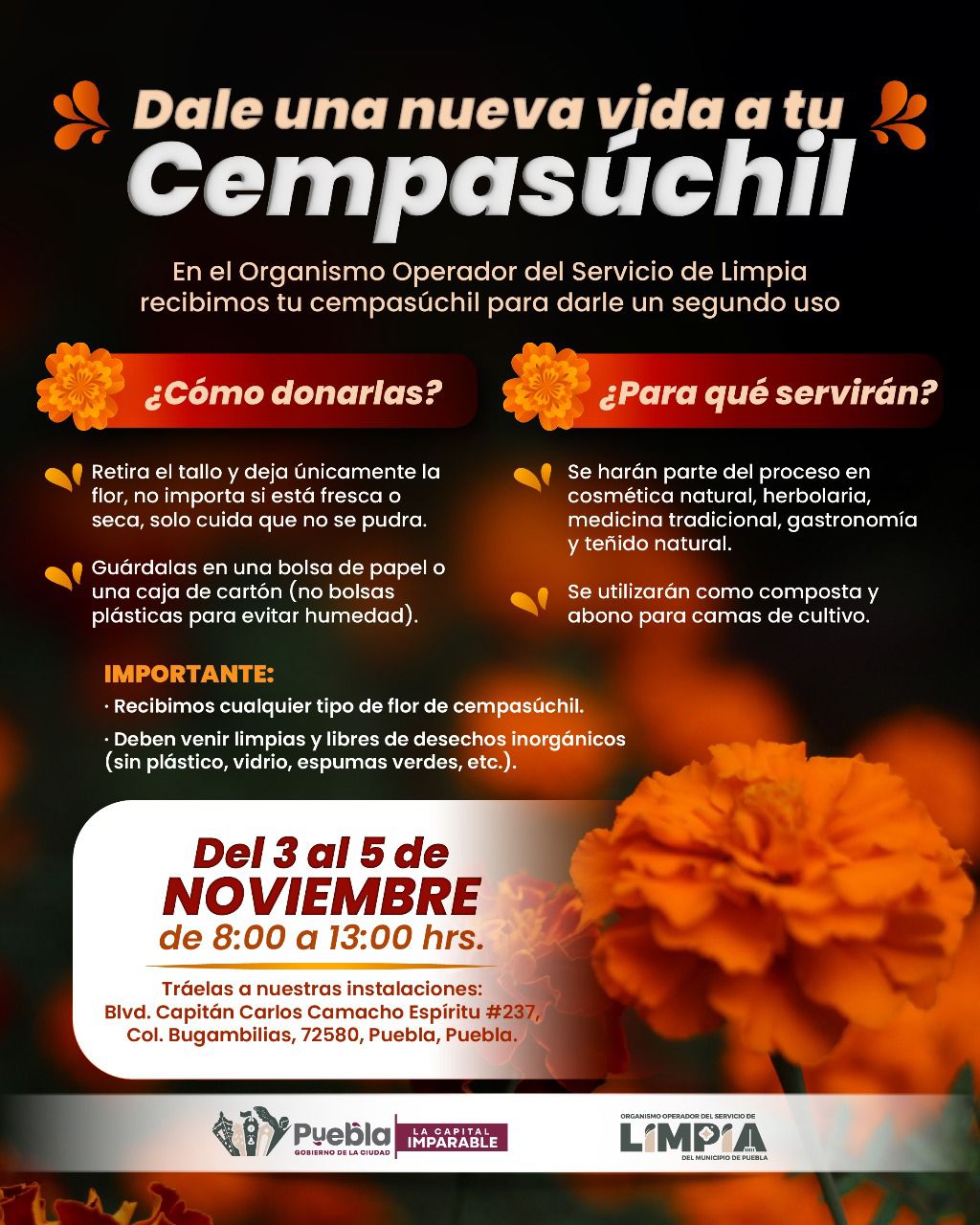 El gobierno capitalino habilitó un centro de acopio para transformar las flores de cempasúchil en composta, abono y productos naturales.