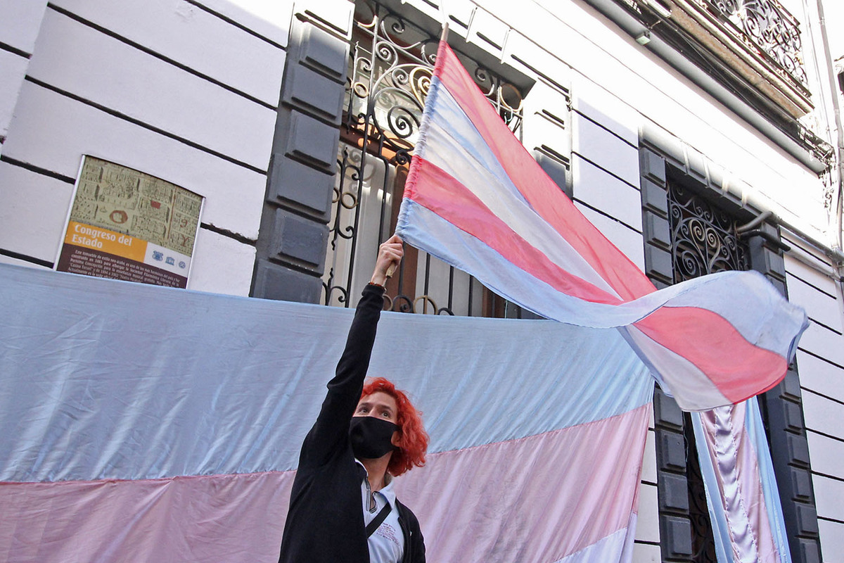 SCJN da 20 días al Congreso de Puebla para legislar sobre derechos de infancias trans