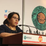 La diputada Martha Aracely Cruz denunció en pleno al morenista Cuauhtémoc Blanco por acoso sexual FOTO: Comunicación Social - Cámara de Diputados.