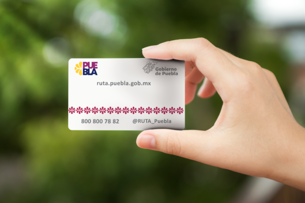 Tarjetas de RUTA no funcionarán en el Cablebús, según el gobierno estatal; pronto se definirá la tarifa, mientras avanza el proceso para elegir a la empresa que construirá el proyecto.