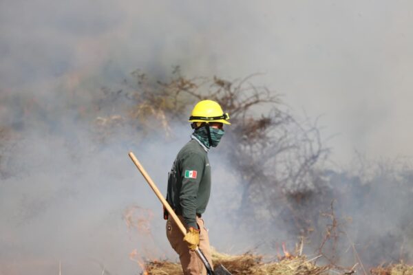 Puebla logró una reducción del 28% en incendios forestales y una caída histórica en hectáreas afectadas, según autoridades estatales.