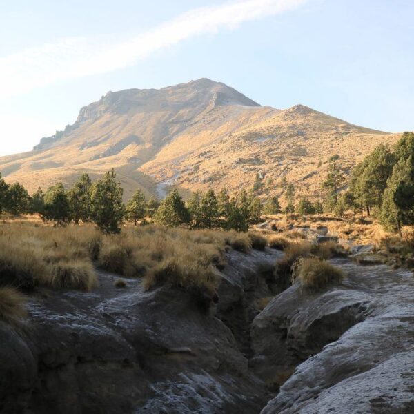 Semarnat y el gobierno de Puebla alcanzaron acuerdos para autorizar el Ecoparque La Malinche. FOTO: El Universal.