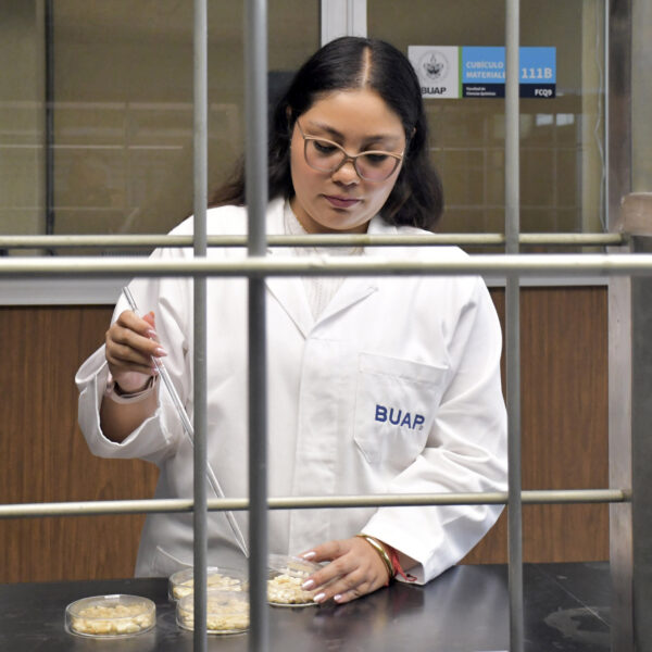 La BUAP acreditó el 95% de sus posgrados ante la Secihti, lo que permitirá a la mayoría participar en las Becas Nacionales 2026 y refuerza su liderazgo académico. FOTO: BUAP.