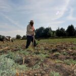 La crisis en el campo poblano se profundiza y los datos muestran un desplome sin precedentes en la ocupación agrícola. FOTO: NOTIMEX.