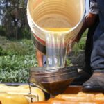 Puebla reportó el aseguramiento de 2 millones de litros de hidrocarburo robado durante el primer año del gobierno de Alejandro Armenta. FOTO: Quadratín.