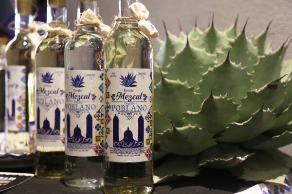 Puebla quiere duplicar su producción de mezcal para 2030 y consolidarse como potencia nacional. FOTO: e-consulta.
