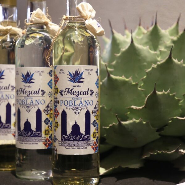 Puebla quiere duplicar su producción de mezcal para 2030 y consolidarse como potencia nacional. FOTO: e-consulta.