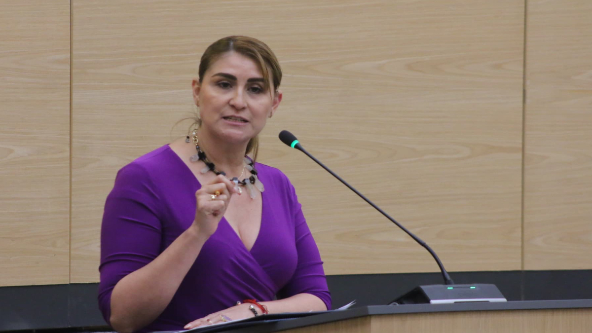 El 21 de enero, la fiscal Idamis Pastor enfrentará al pleno del Congreso de Puebla en medio de señalamientos, renuncias y reacomodos clave dentro de la FGE.