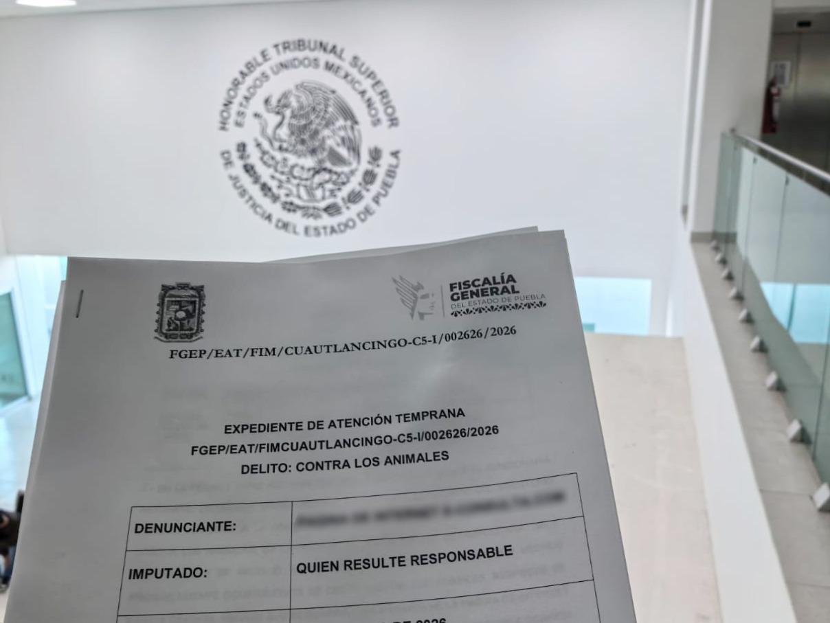 Bienestar Animal atiende denuncias por maltrato en Texmelucan