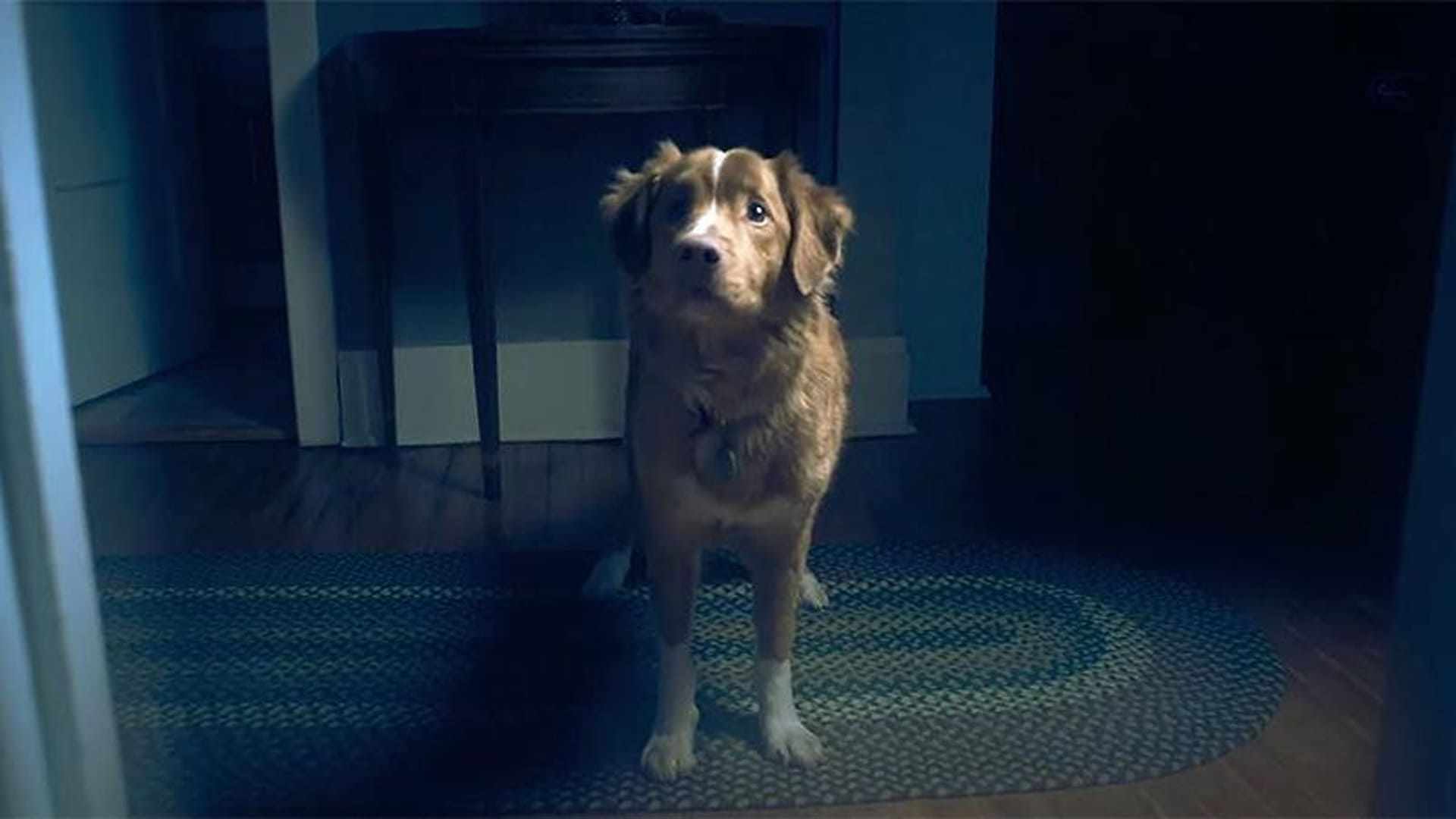 Indy hace historia: un perro gana el Astra 2026 a Mejor Actuación de Terror