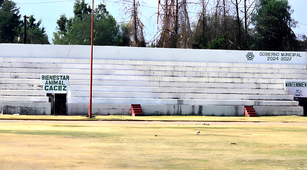 El Ayuntamiento de San Martín Texmelucan refuerza la protección y el bienestar de los animales de compañía con la prevención de su comercialización en espacios públicos.