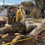Autoridades municipales aseguraron el área y evitaron mayores afectaciones, como parte de las acciones permanentes de prevención y respuesta ante emergencias.