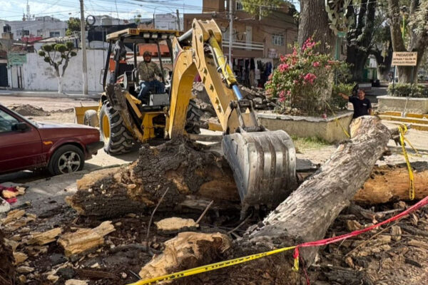 Autoridades municipales aseguraron el área y evitaron mayores afectaciones, como parte de las acciones permanentes de prevención y respuesta ante emergencias.