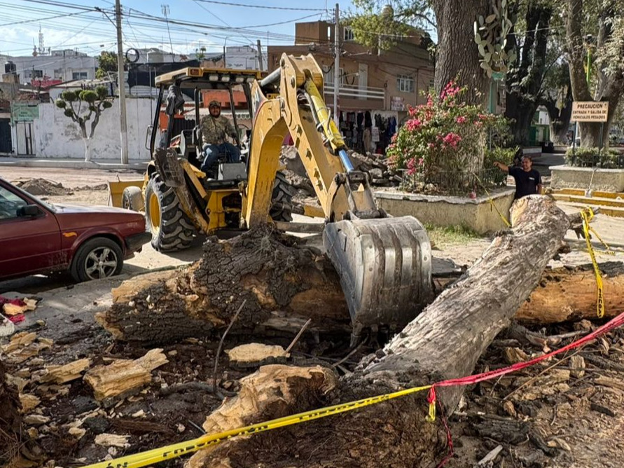 Retiran ramas de árbol seco en Carril de San Miguel, en San Martín Texmelucan, sin personas lesionadas