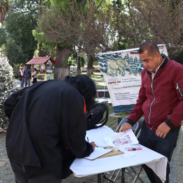 La recolección de "Verde Navidad" estará disponible hasta el 15 de febrero en Cholula; un árbol de navidad a cambio de pases de entrada doble a Africam.