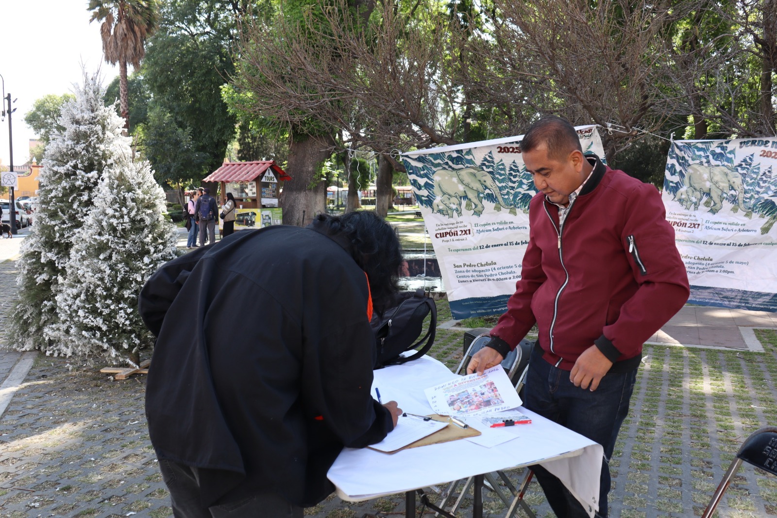 San Pedro Cholula impulsa reciclaje de árboles navideños con incentivos ambientales