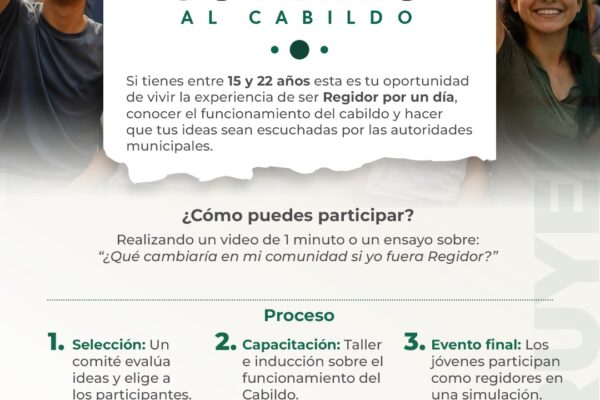 Las y los jóvenes podrán enviar un video o ensayo antes del 20 de febrero; 12 propuestas serán seleccionadas para la Sesión de Cabildo Juvenil del 27 de febrero.