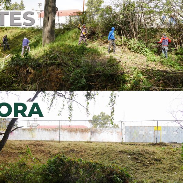 El Ayuntamiento de San Martín Texmelucan realizó trabajos de limpieza, retiro de maleza y mantenimiento en el parque El Chamizal para mejorar el entorno.