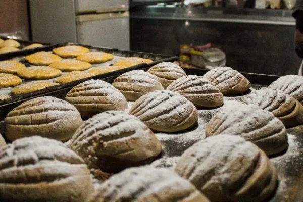 Conchas. Yahoo Noticias.