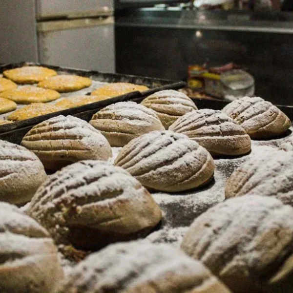 Conchas. Yahoo Noticias.