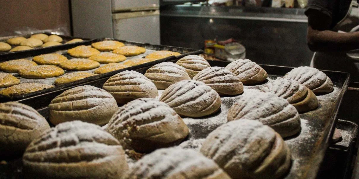 Conchas. Yahoo Noticias.