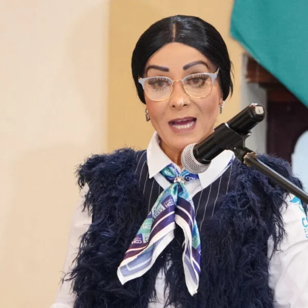 La Comisión de Derechos Humanos del Congreso de Puebla definirá este 29 de enero si cita a comparecer a la titular de la CDH, Rosa Isela Sánchez Soya. FOTO: El Ciudadano Mx.