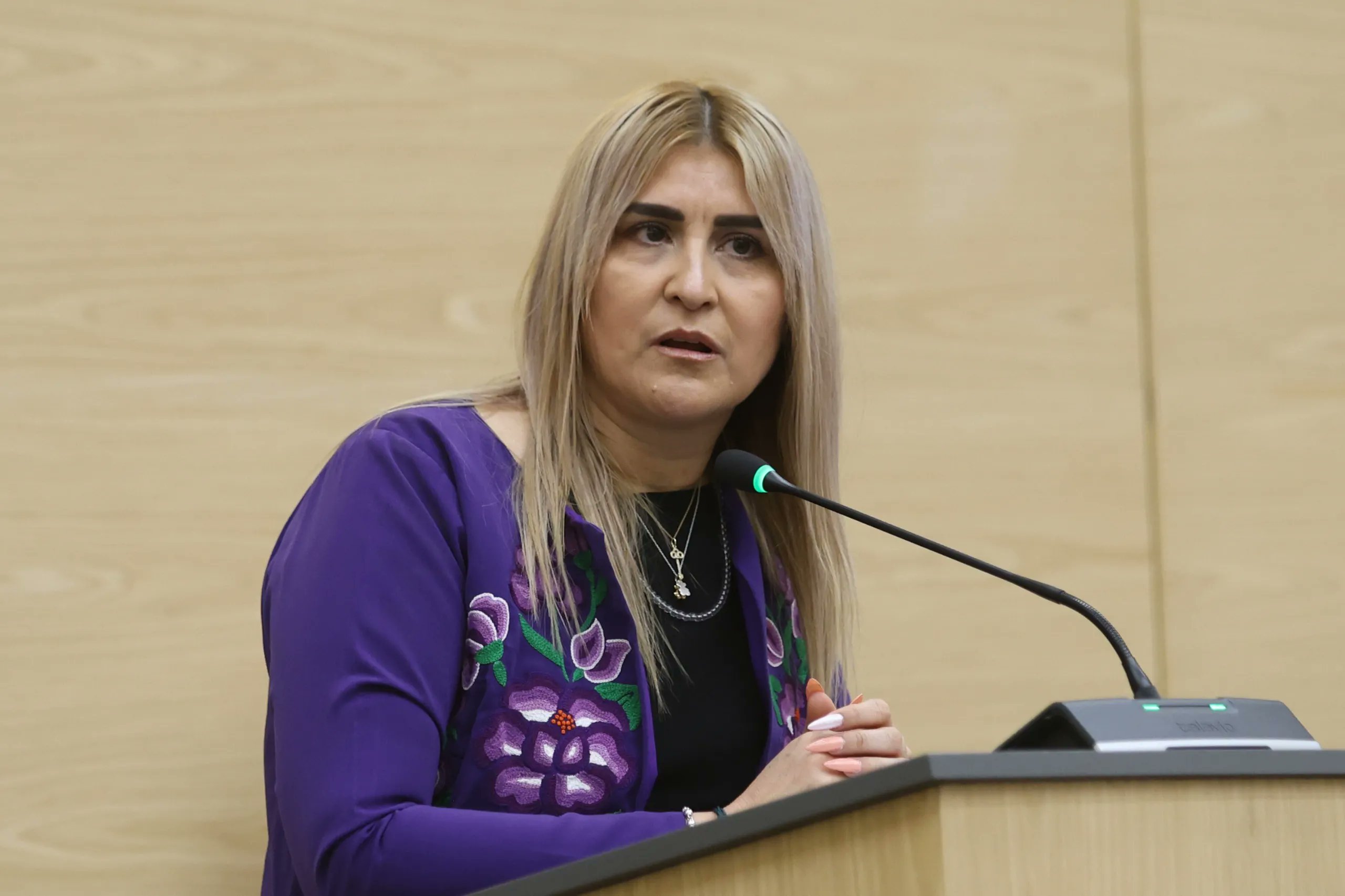 Choque en el Congreso: fiscal Idamis Pastor y Fedrha Suriano se confrontan por vínculos con presuntos delincuentes