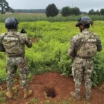 Operativo. Foto: La Jornada.