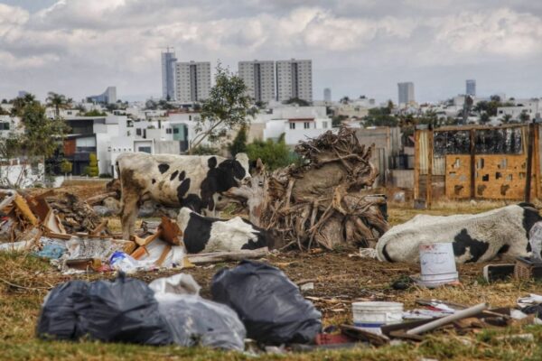 Armenta rechazó lo dicho por el PAN sobre la capital y reviró sobre el abandono que se mantuvo en la periferia y comunidades indígenas. FOTO: Milenio.