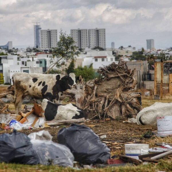 Armenta rechazó lo dicho por el PAN sobre la capital y reviró sobre el abandono que se mantuvo en la periferia y comunidades indígenas. FOTO: Milenio.