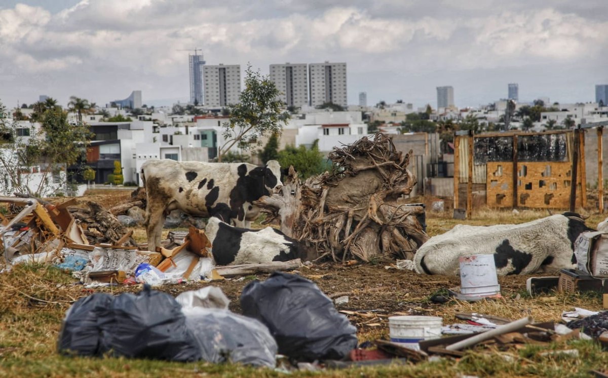 Armenta rechazó lo dicho por el PAN sobre la capital y reviró sobre el abandono que se mantuvo en la periferia y comunidades indígenas. FOTO: Milenio.