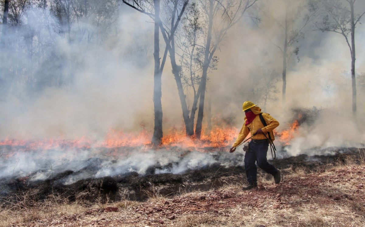 La superficie forestal afectada por incendios en Puebla cayó 68% en 2025; autoridades atribuyen el resultado a prevención, tecnología y coordinación interinstitucional. FOTO: Milenio.