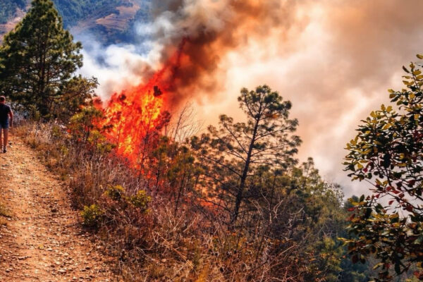 El incendio en el cerro de Yahualutzingo se intensifica y amenaza con llegar a las casas en Vicente Guerrero. FOTO: Ángulo 7.