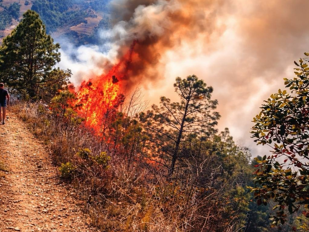 Alarma en la Sierra Negra: incendio en el cerro de Yahualutzingo amenaza a viviendas