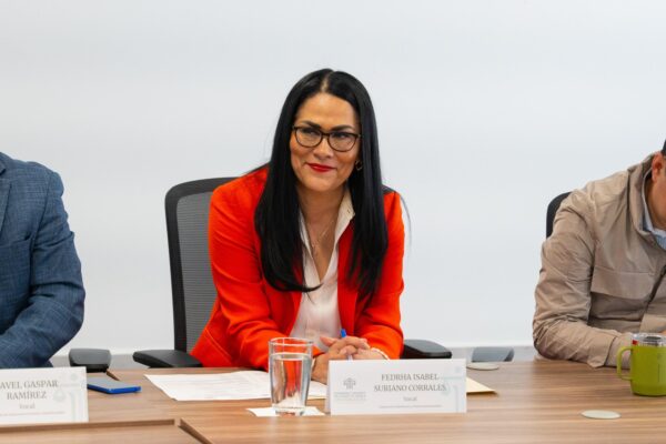 La diputada Fedrha Suriano busca que el Congreso apruebe un padrón público para evidenciar a quienes deben pensión alimenticia en el estado. FOTO: Reto Diario.