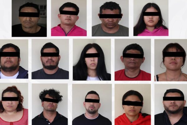 Fuerzas federales detuvieron en Veracruz a 14 presuntos integrantes de una célula delictiva vinculada al CJNG.