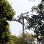 La zona de la 11 Sur y el Parque Juárez serán los puntos con más traslados. Autoridades aseguran que no habrá tala, solo replantación y una compensación masiva con árboles de 2 metros de altura.