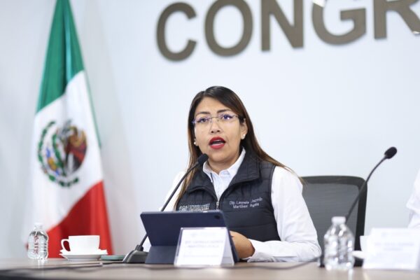 Leonela Martínez presentará contratos de arrendamiento para deslindarse de la venta de combustible irregular.