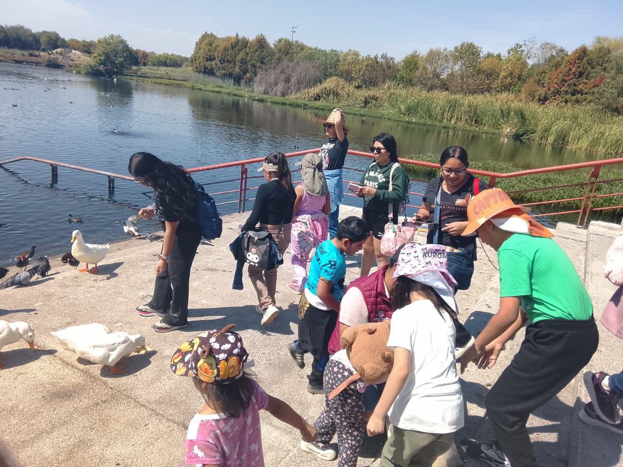De Canadá a Chapulco: Niños poblanos se convierten en guardianes de aves migratorias