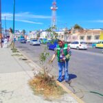 Texmelucan plantó más de 2,500 árboles para recuperar espacios verdes y mejorar el entorno ambiental.