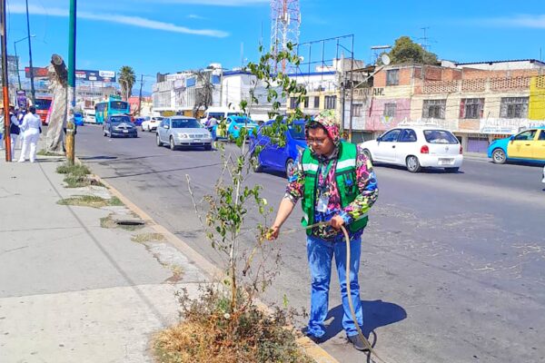 Texmelucan plantó más de 2,500 árboles para recuperar espacios verdes y mejorar el entorno ambiental.