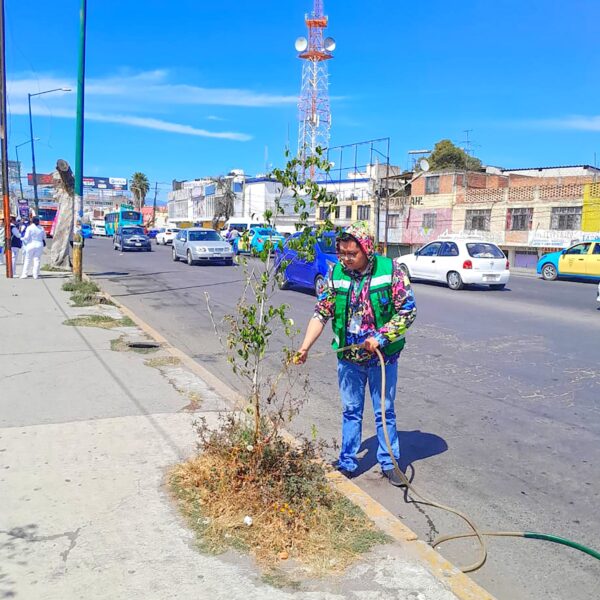 Texmelucan plantó más de 2,500 árboles para recuperar espacios verdes y mejorar el entorno ambiental.