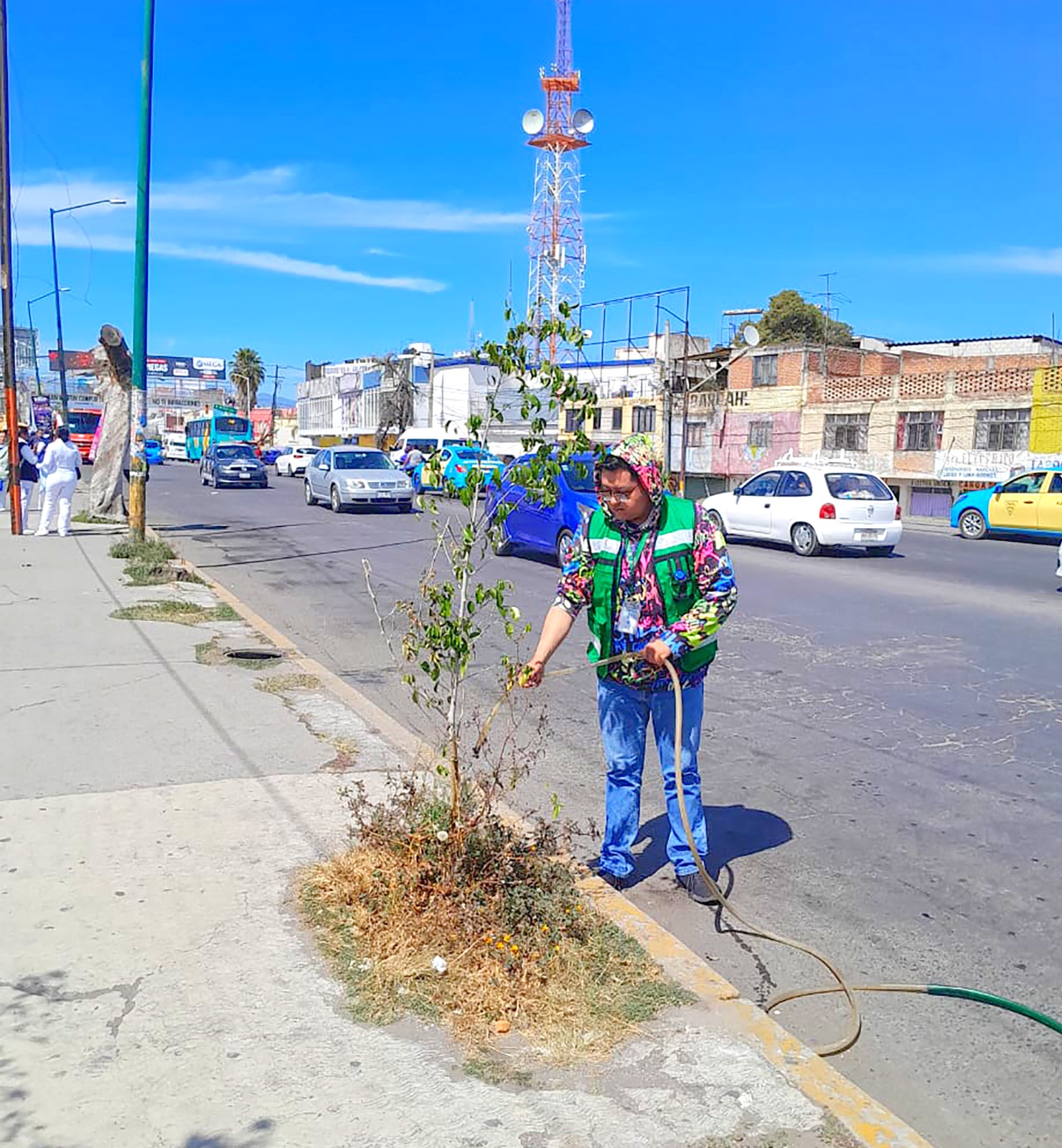 San Martín Texmelucan planta más de 2 mil 500 árboles en vialidades y ribera del Atoyac